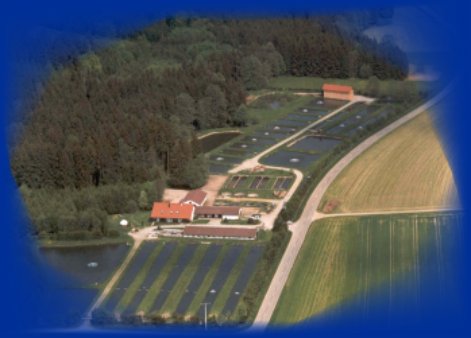 Luftbild unserer Anlage in Kirchhaslach